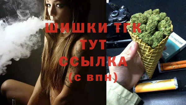 гашик Аркадак