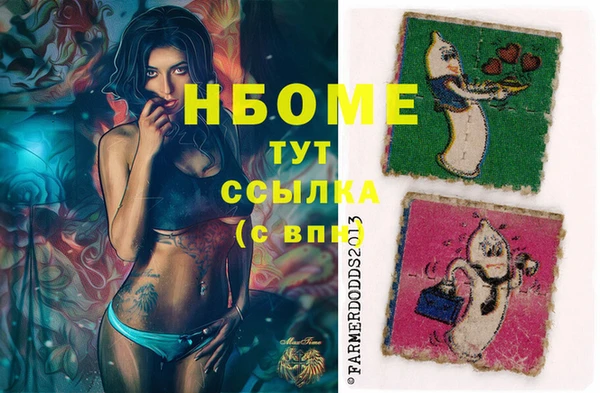 гашик Аркадак